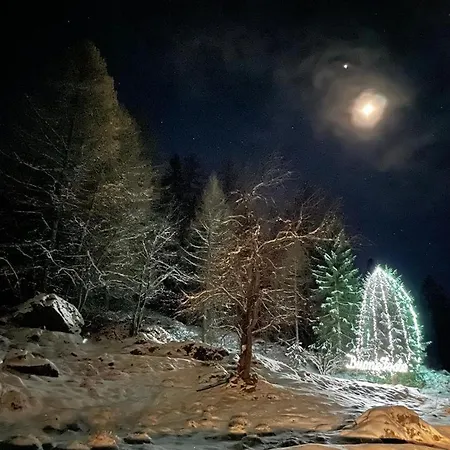 Bouque Georgeoline * 레메스-노트르-담