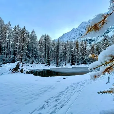 Bouque Georgeoline Διαμέρισμα