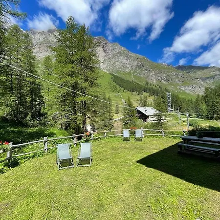 Bouque Georgeoline *