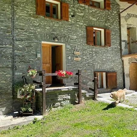 Bouque Georgeoline *