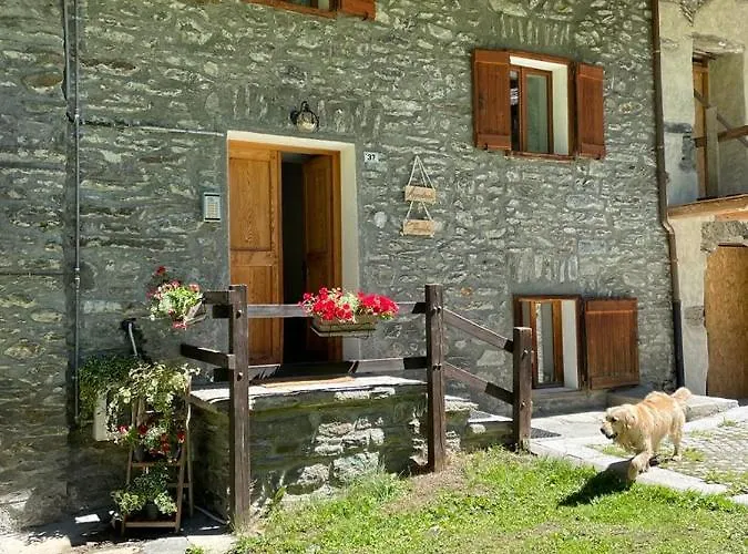 Bouque Georgeoline *